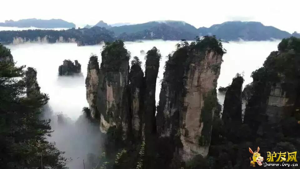 五指峰云海.jpg